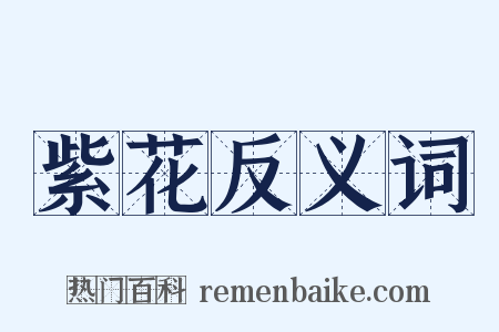 紫花反义词是什么意思的图片